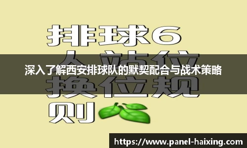 海星体育直播官方网站