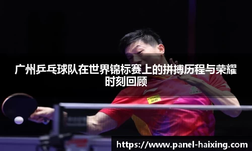 海星体育直播官方网站